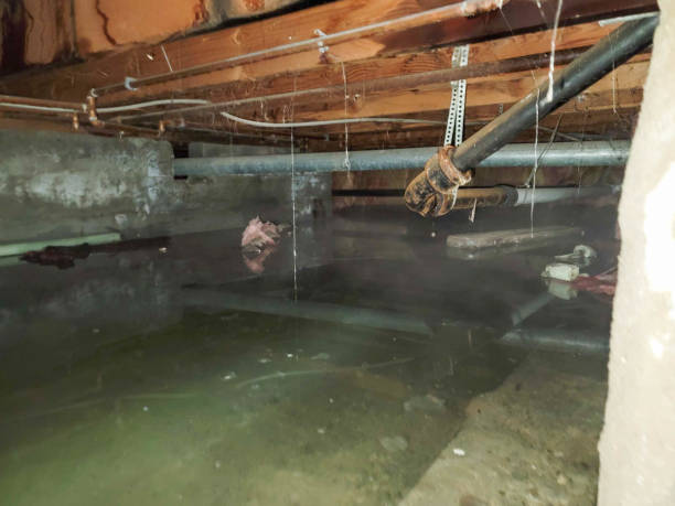 Best Water damage restoration insurance claims  in Morada, CA