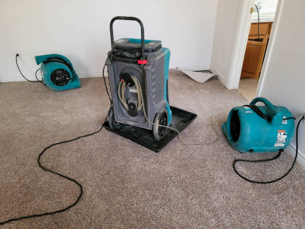 Best Flood restoration services  in Morada, CA