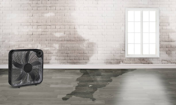 Carpet water damage restoration in Morada, CA