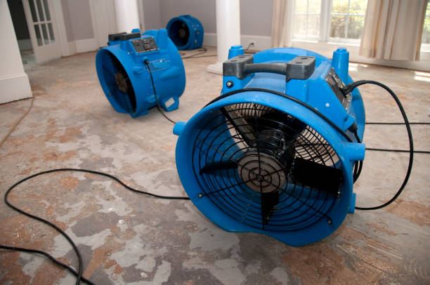 Best Water damage restoration near me  in Morada, CA