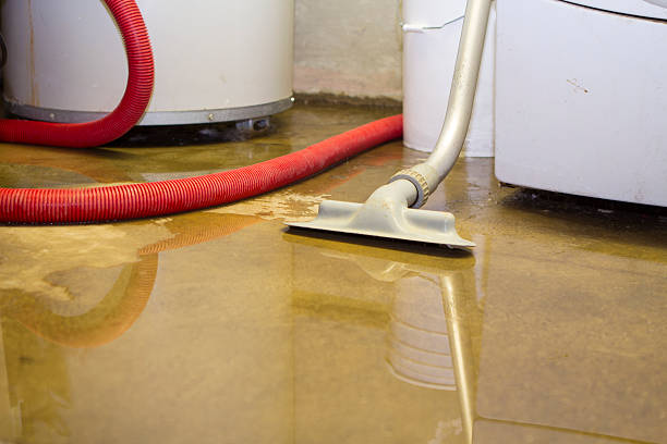 Best Mold removal after water damage  in Morada, CA