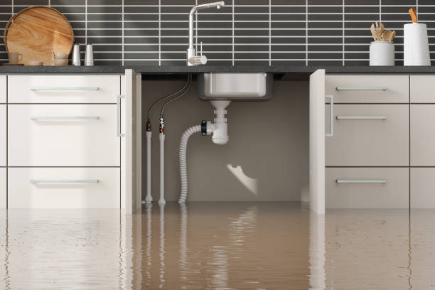  Morada, CA Water damage restoration Pros
